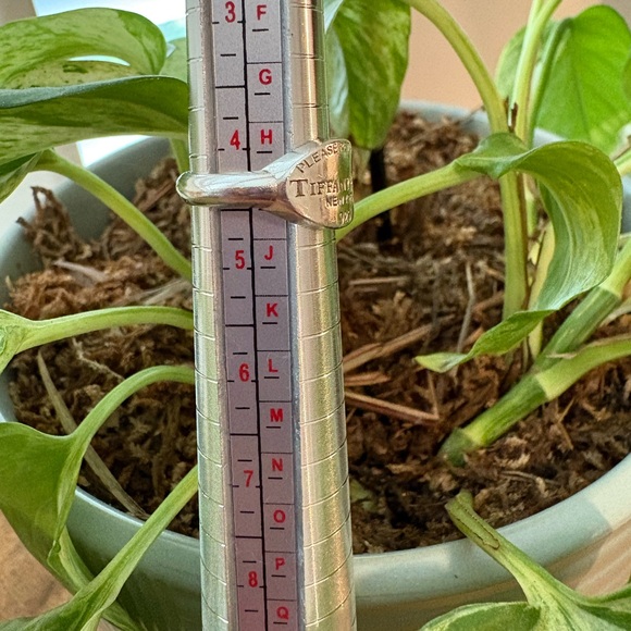 Tiffany & Co. Return to Tiffany Oval Signet Ring in Silver - Picture 9 of 9